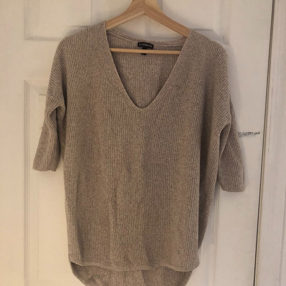 EXPRESS Neutral Color V Neck Sweater
